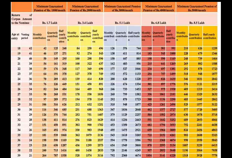 contribution chart